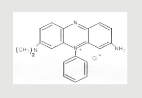 Basic Violet 5 (Dimethyl Safranine)