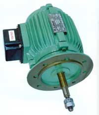 Electric Motor