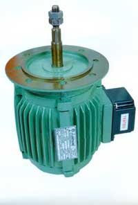 Electric Motor