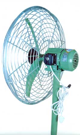 Pedestal Fan