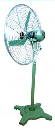 Pedestal Fan