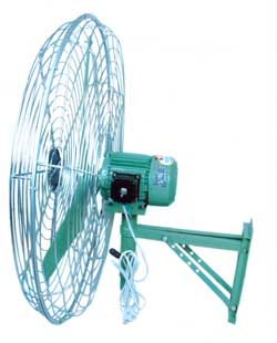 Pedestal Fan