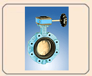 Butterfly Valve