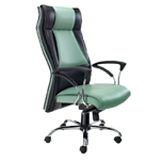 Ergonomic Chairs