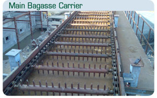 Main Bagasse Carrier