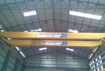 Double Girder EOT Cranes