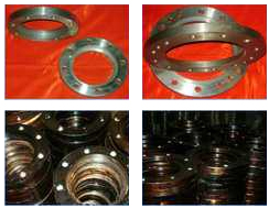 Steel Flanges