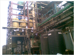 Fabrication & Erection Of Chemical Plant Structure & Equipment Project