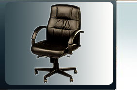 Visitor Chairs, Ergonomic Chairs, Conference Chairs, Cafeteria Chairs, Leather Office Chairs, Mumbai, India