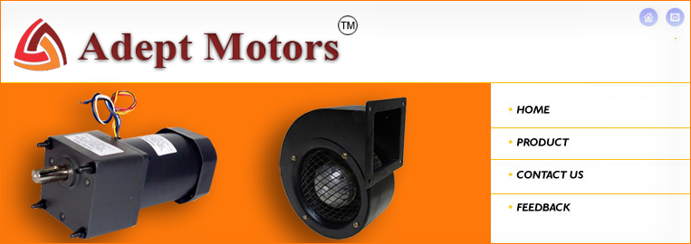 ADEPT MOTORS