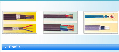 Flexible Wires & Cables, Control Cables, LT & HT Cables, Tailor Made Cables, Speciality Cables, Mumbai, India