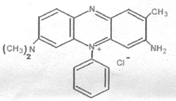 Basic Violet 8