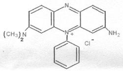 Basic Violet 5 (Dimethyl Safranin)