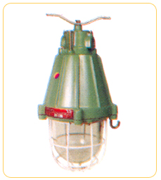 FLP / WP Wellglass Light Fitting 