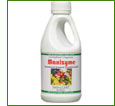 Maximus 12 humic acid 