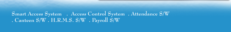 Access Control System, Plc Controller, Micro Controller, Attendance System, Payroll Softwares, Security Systems, Mumbai, India