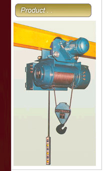 Manufacturers Of Electric Wire Rope Hoists & Cranes, Goliath Cranes, Jib Cranes, Girder Cranes, Thane, India