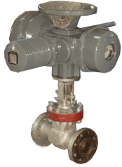 Gate Globe Valves