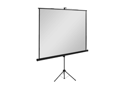 Projector Screen