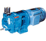 Monoblock Water-Ring Vacuum Pumps 