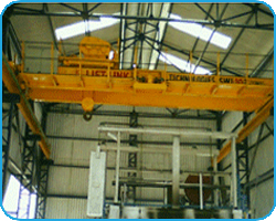 Explosion Proof Crane