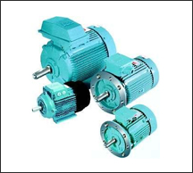 ABB Frame Motors