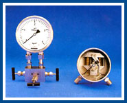 Mass Bellow Differential Pressure Gauges