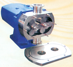 Stainless Steel Lobe Pumps 