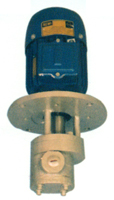 Verticle Flange Mounted Pumps