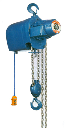 Indef Chain Electric Hoist