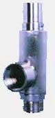 Safety Valve Screwed End