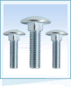 Carriage Bolt