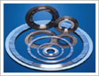 Kammprofile Gasket