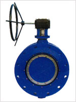 Double Flanged Butterfly Valves 